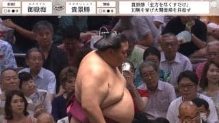 「気になって集中できない…」大相撲中継に超有名女性タレント “凛”とした姿に反響続々