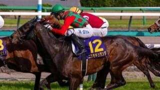 3日間開催に菊花賞TRセントライト記念と秋華賞TRローズS/今週の競馬界の見どころ