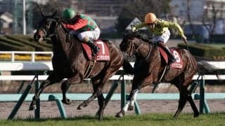 【セントライト記念登録馬】コスモキュランダなど14頭