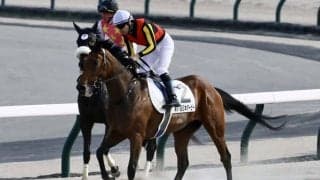 【ローズS登録馬】レガレイラなど16頭