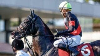 【紫苑S】売上は41億9700万7700円で昨年より約6000万円増加