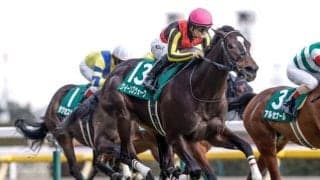 【ローズS見どころ】将来有望な良血馬クイーンズウォークが復帰戦を勝利だ