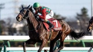 【セントライト記念見どころ】実績上位のコスモキュランダが復帰戦を勝利で飾る