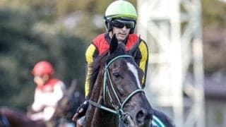 【京成杯AH】売上は56億6989万2500円で昨年より約6.3億円増加