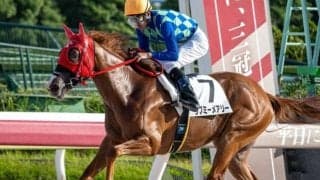 【大井・ゴールドジュニア枠順】3連勝中のラブミーメアリーは5枠6番