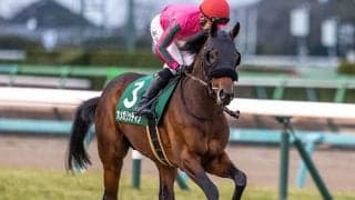 【阪神JS想定騎手】オメガリッチマンは高田潤騎手、テイエムタツマキは田村太雅騎手