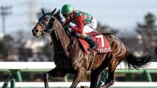 【セントライト記念想定騎手】コスモキュランダはM.デムーロ騎手、アーバンシックはC.ルメール騎手