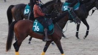 重賞4勝ナムラクレアの半妹 ナムラクララが初陣へ態勢万全/関西馬メイクデビュー情報