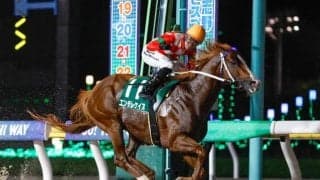 【大井・アフター5スター賞枠順】重賞連勝狙うエンテレケイアは3枠3番