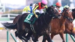 ローズSと好相性の中内田充正調教師＆川田将雅騎手タッグ GI馬の半妹で4勝目なるか