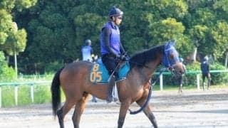 海外でも活躍中のフォーエバーヤングの半妹 ブラウンラチェットが16日中山に登場/関東馬メイクデビュー情報