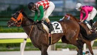 【大井・東京記念枠順】ひさびさの重賞制覇狙うナッジは1枠1番