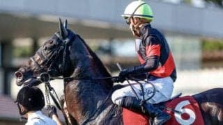 イクイノックスの元担当者も大絶賛のクリスマスパレード 成長力にも長けた血統背景で更なる飛躍へ