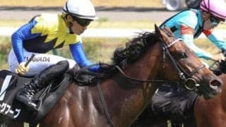 金子真人オーナーの牝馬最高額の2億円馬 ダービー2度制覇の“黄金タッグ”でローズSに挑む