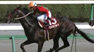 菊花賞の前に立ちはだかったルールの壁 20年前に起こった地方馬の負けられない戦い
