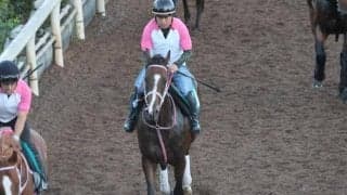 マラコスタムブラダの2022(エスタンシア)など、先週の入厩情報/栗東トレセンニュース