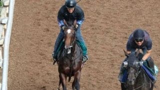 レフレクシオなど、先週のゲート試験/栗東トレセンニュース