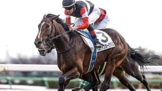 武豊騎手史上初の偉業達成なるか クラシックトライアル完全制覇へ14年ぶりのセントライト記念参戦