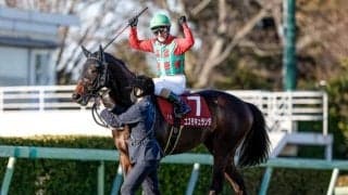 【セントライト記念予想オッズ】コスモキュランダが予想1番人気