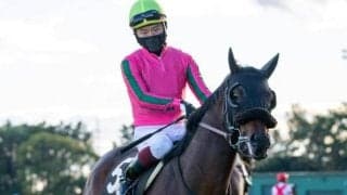 【阪神JS予想オッズ】オメガリッチマンが予想1番人気