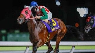 【大井・ゴールドジュニア結果】8番人気のランベリーが差し切って重賞初制覇