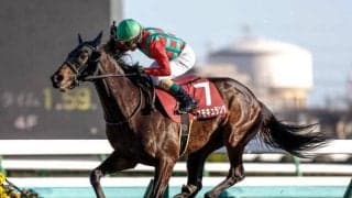 【セントライト記念展望】東の菊花賞トライアル、前走クラスと中山コース実績に注目