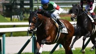 母仔3代重賞制覇へ “3度目の正直”狙う良血がセントライト記念で素質開花だ