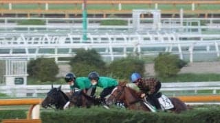 デルマソトガケ、日本テレビ盃追い切り速報/栗東トレセンニュース