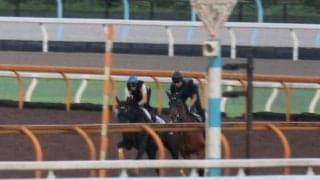 アーテルアストレア、シリウスS2週前追い切り速報/栗東トレセンニュース