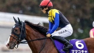 【スプリンターズS想定】ママコチャ、ビクターザウィナーなど17頭