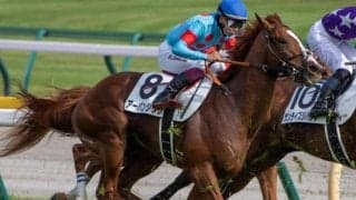 セントライト記念で惜敗続きのルメール騎手 テン乗りのパートナーと初制覇なるか