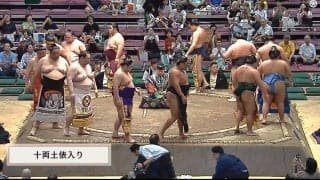 力士の「ペアルックかわいい」愛溢れるおそろいの化粧まわしで登場 “なかよし”な姿に歓喜の声