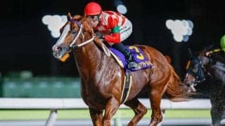 【大井・アフター5スター賞結果】エンテレケイアが逃げ切って重賞連勝！