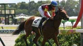 【ローズS予想】先行タイプは過信禁物 AIの注目馬はレース傾向を覆せるか