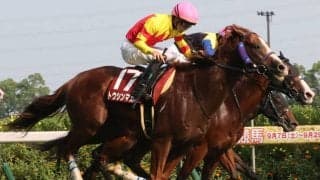 【セントウルS】トウシンマカオが鮮やかな差し切り