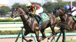 【京成杯AH】断然人気アスコリピチェーノが秋初戦を制する