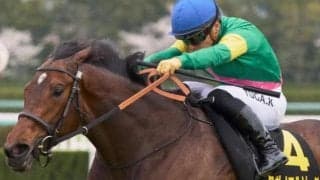 「タガノ軍団」が誇る良血娘がローズS参戦 きょうだい3頭目の重賞Vなるか