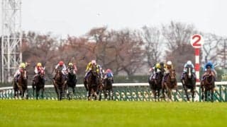 天皇賞(秋)・ジャパンC・有馬記念は入場券の当日現金発売を実施せず JRAが発表