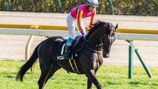 【阪神JS出走馬・騎手確定】テイエムタツマキ＆田村太雅騎手、ネビーイーム＆小牧加矢太騎手など12頭