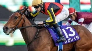 【ローズS出走馬・騎手確定】レガレイラ＆C.ルメール騎手、クイーンズウォーク＆川田将雅騎手など15頭