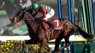 【セントライト記念出走馬・騎手確定】コスモキュランダ＆M.デムーロ騎手、スティンガーグラス＆武豊騎手など14頭