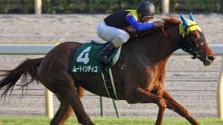一族に活躍馬ズラリ“金子ブランド”の良血馬 川田将雅騎手を背に初陣V狙う