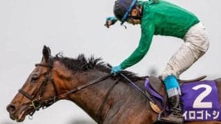 中山GJ連覇のイロゴトシに左前浅屈腱炎が判明 今後は9カ月以上の休養要す見込み