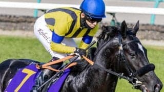 セントライト記念史上6組目の父仔制覇へ イスラボニータ産駒が2頭参戦