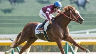 【愛チャンピオンS枠順】シンエンペラーは3番ゲート、ディープ産駒オーギュストロダンは4番ゲート