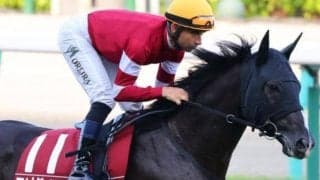 半兄は海外G1・2勝の名馬 1.7億円ハーツクライ産駒が充実期を迎えオープン入りを狙う