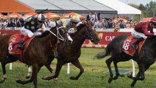 ブレークアップの競走馬登録抹消…地方移籍の予定