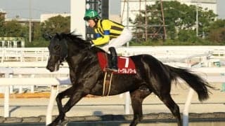 【オーバルスプリント】イーグルノワールなどJRA4頭