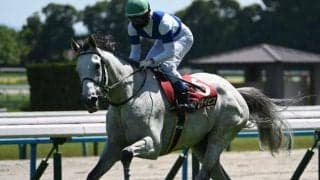 今年の京都HJ覇者サンデイビスに右前浅屈腱炎が判明 9カ月以上の休養要す見込み