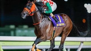 【大井・東京記念結果】ナッジが好位から抜け出し3馬身差V！重賞2勝目を挙げる